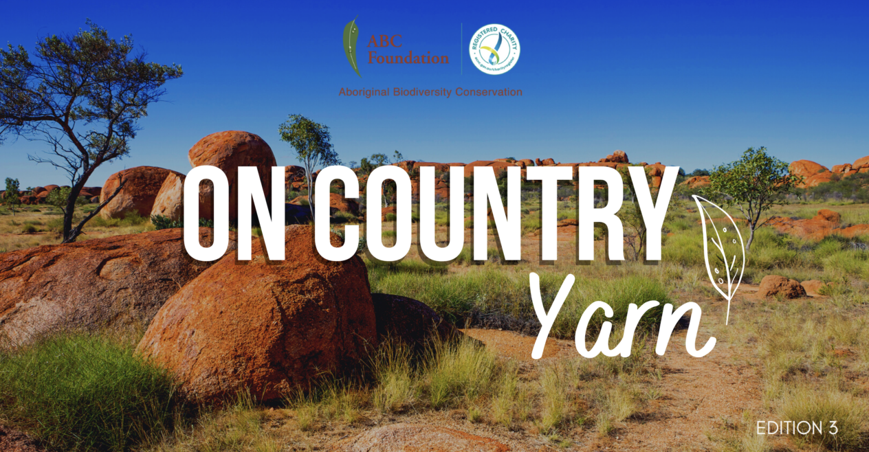 ABC Foundation On-Country Yarn Edition 3