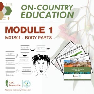 On-Country Education | Learning Resources | Module 1 | M01S01 - Body Parts