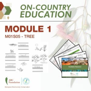 On-Country Education | Learning Resources | Module 1 | M01S05 - Tree