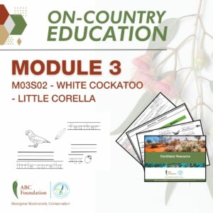 On-Country Education | Learning Resources | Module 1 | M03S02 - White Cockatoo - Little Corella