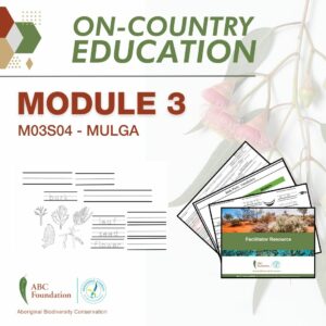 On-Country Education | Learning Resources | Module 1 | M03S04 - Mulga