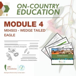 On-Country Education | Learning Resources | Module 1 | M04S03 - Wedge Tailed Eagle