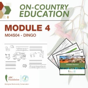 On-Country Education | Learning Resources | Module 1 | M04S04 - Dingo